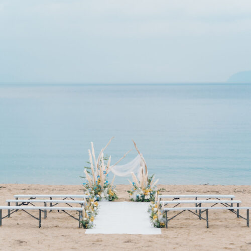 セトノウツツの様子