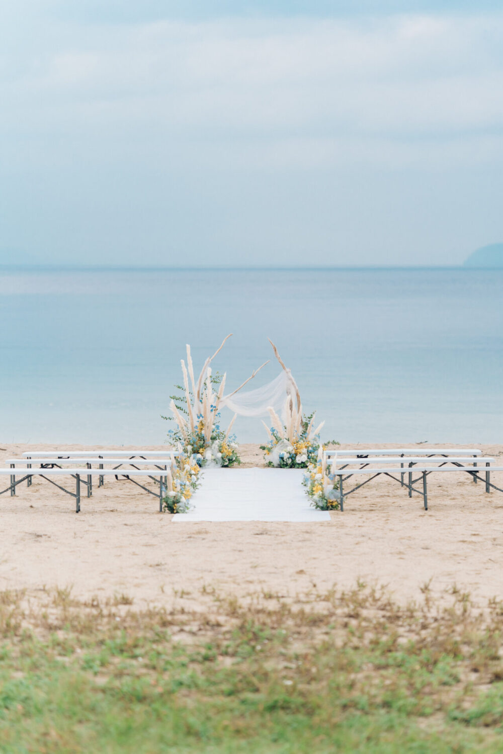 セトノウツツの様子