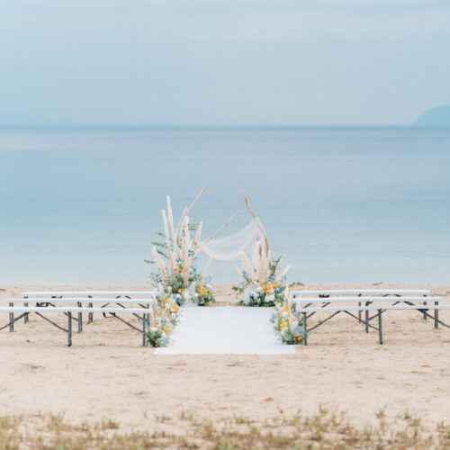 セトノウツツの様子