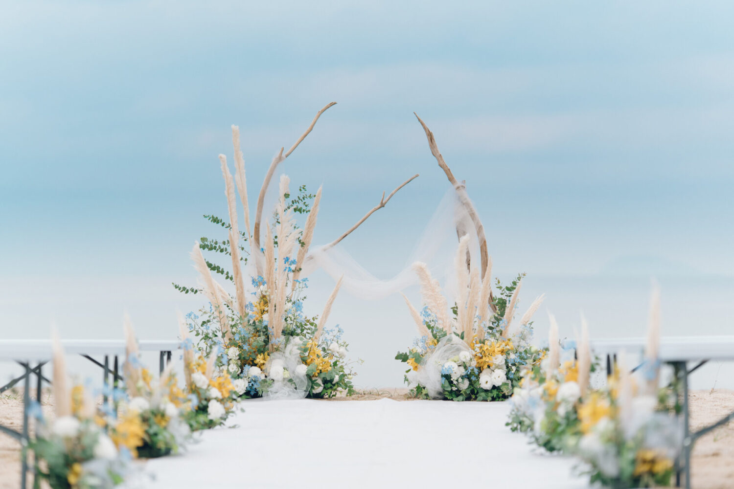 セトノウツツの様子