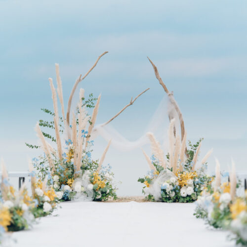 セトノウツツの様子