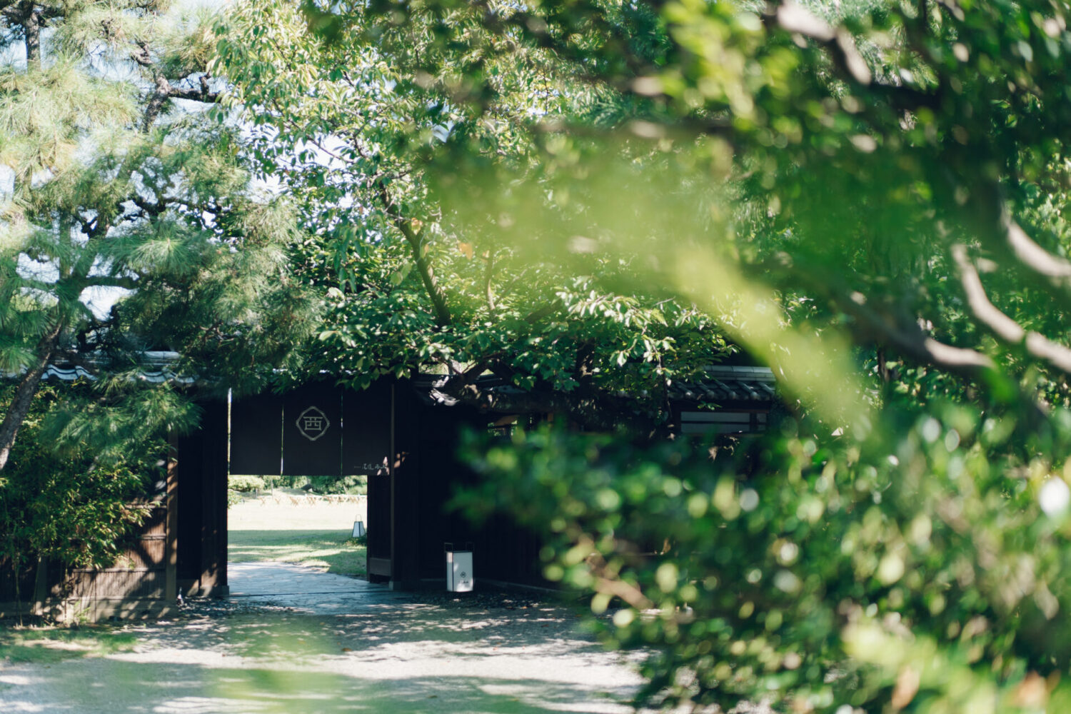 Ryokan尾道西山の様子