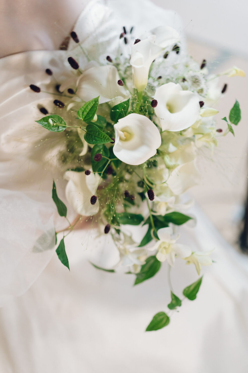 Ryokan尾道西山の様子