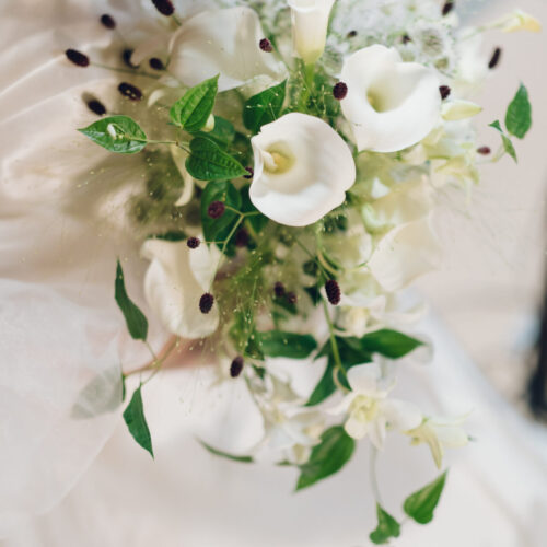 Ryokan尾道西山の様子