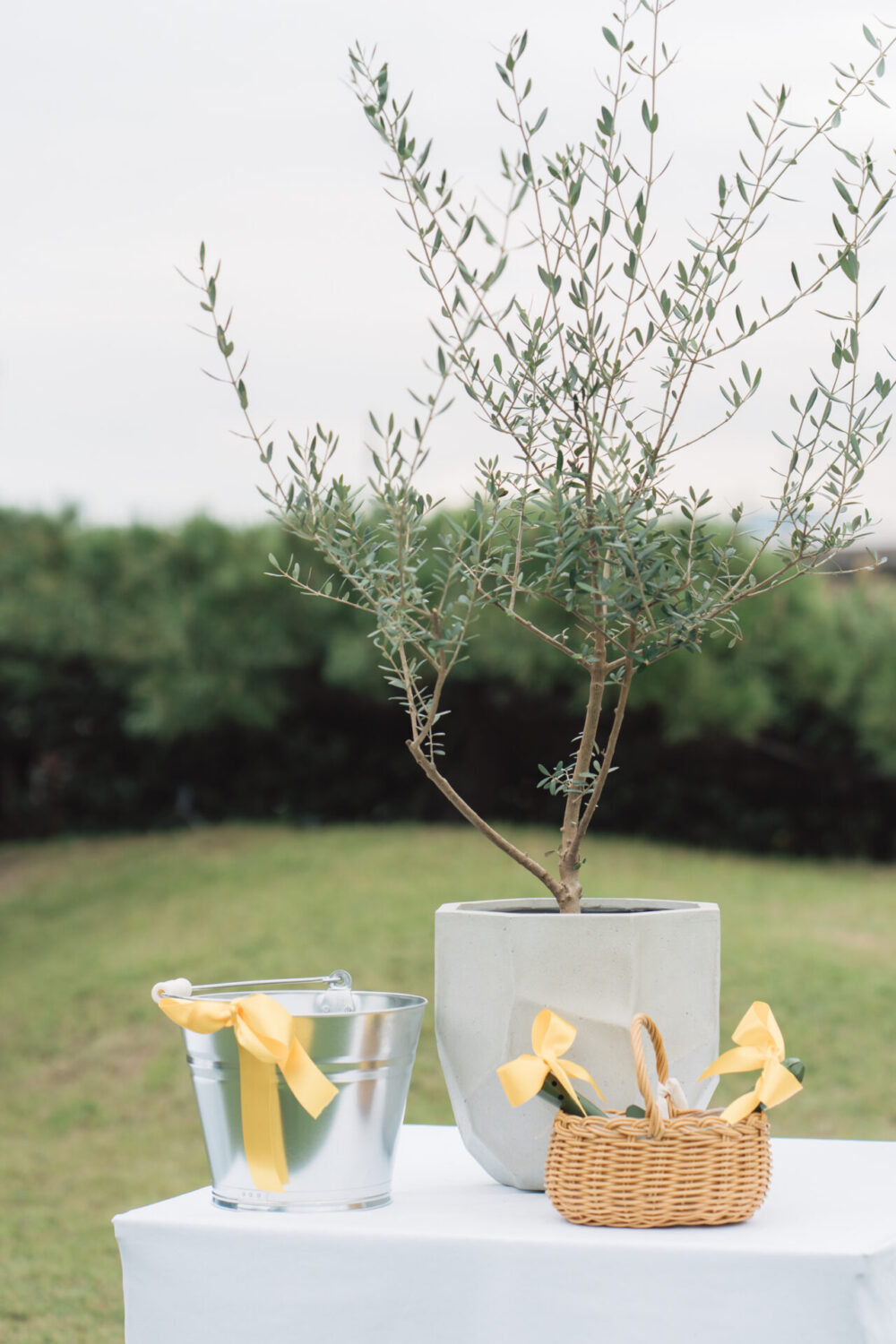 Ryokan尾道西山の様子