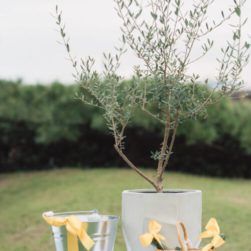 Ryokan尾道西山の様子