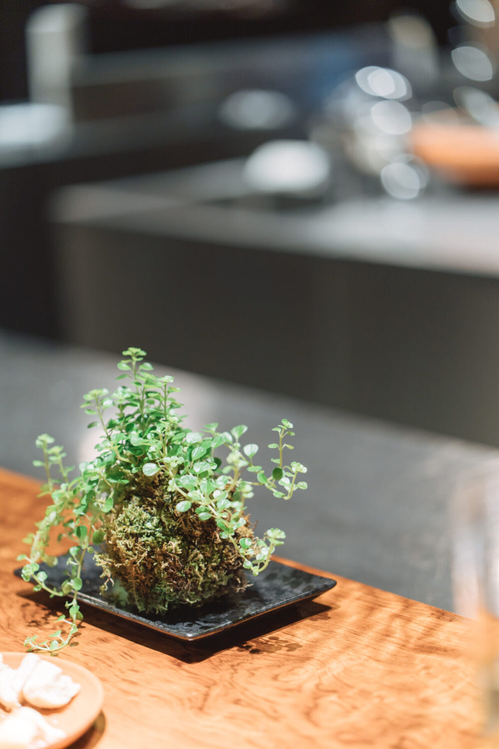 Ryokan尾道西山の様子