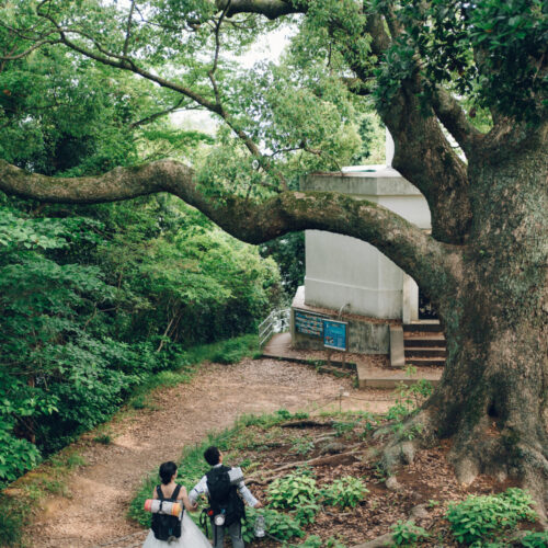 縮景園／元宇品公園の様子