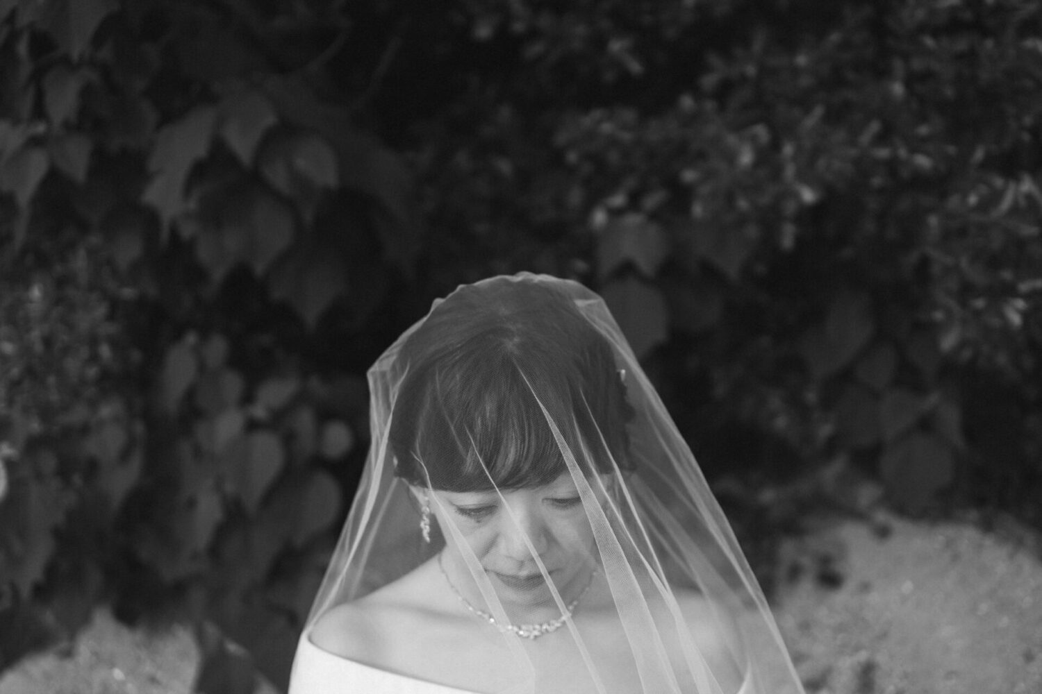 縮景園／元宇品公園の様子