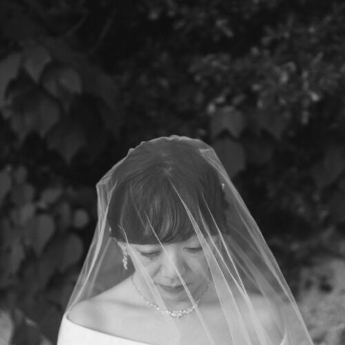 縮景園／元宇品公園の様子