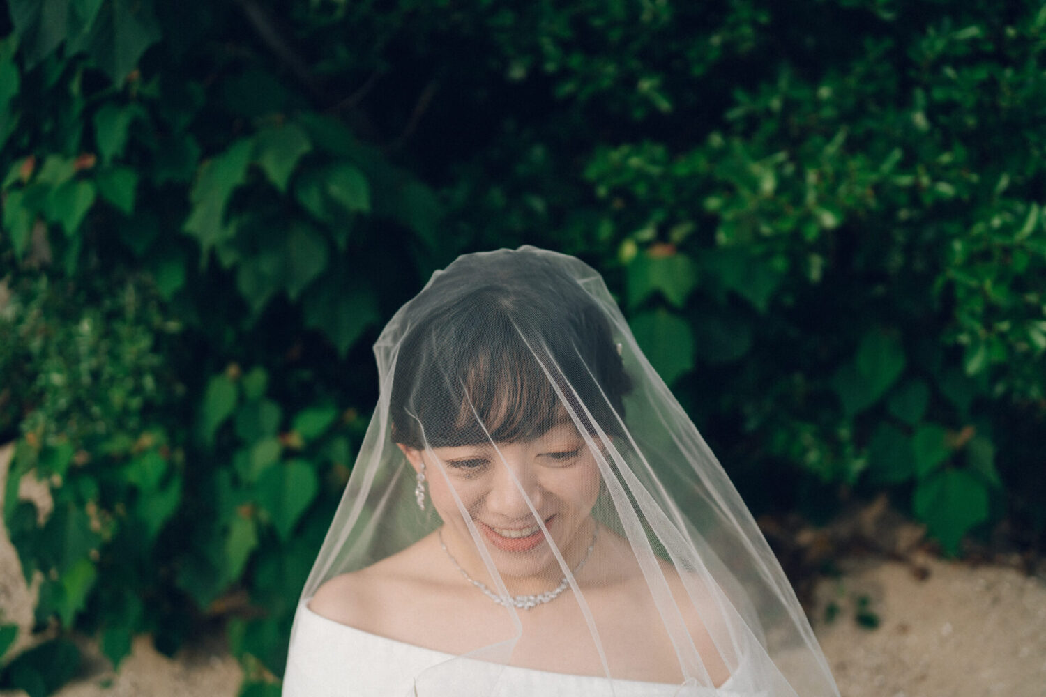 縮景園／元宇品公園の様子