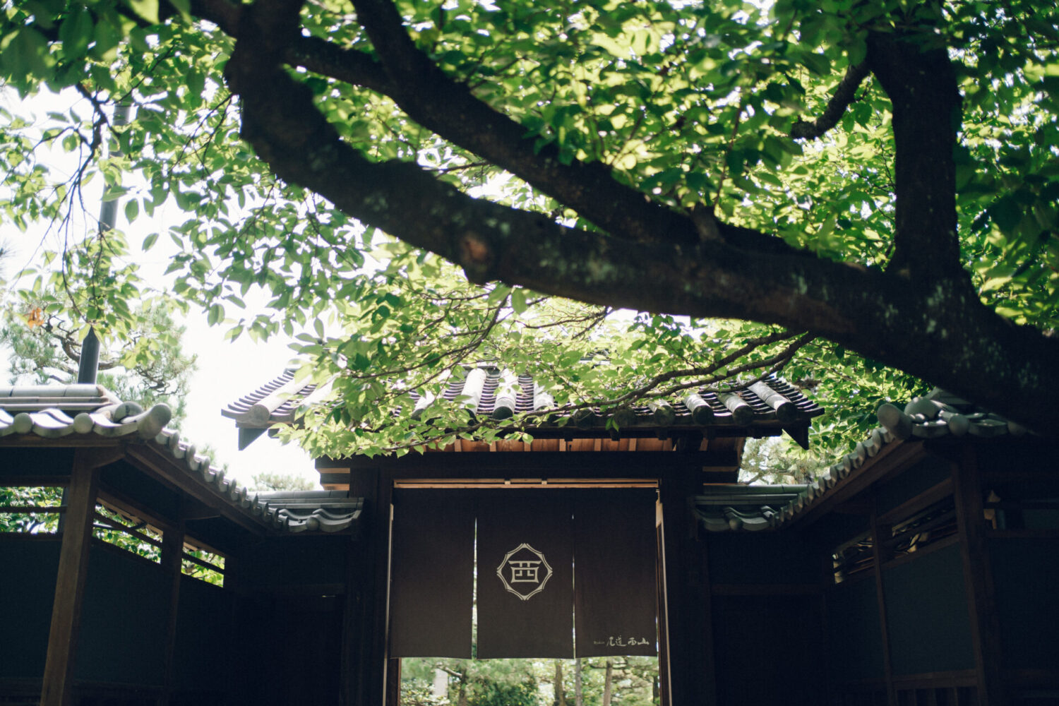 Ryokan尾道西山の様子